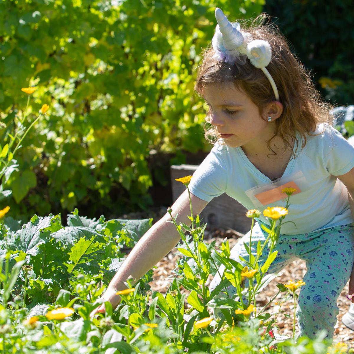 Young student looking at garden beds.