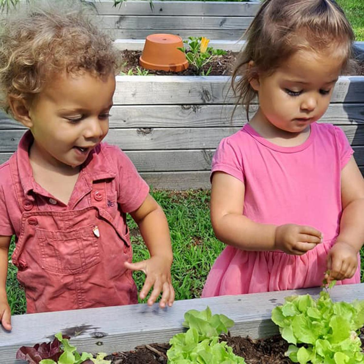 Two young children investigate a raised garden bed of newly planted lettuces at Milton Family Community Center. Two young children investigate a raised garden bed of newly planted lettuces at Milton Family Community Center.