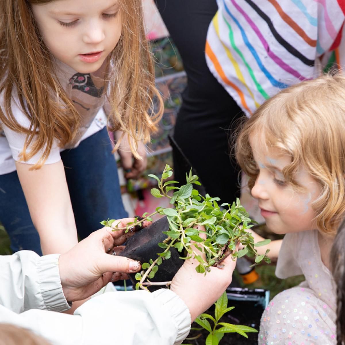 Early learners smell plants in a garden Early learners smell plants in a garden