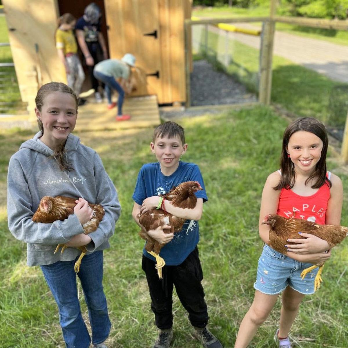 Three kids each hold a chicken Three kids each hold a chicken
