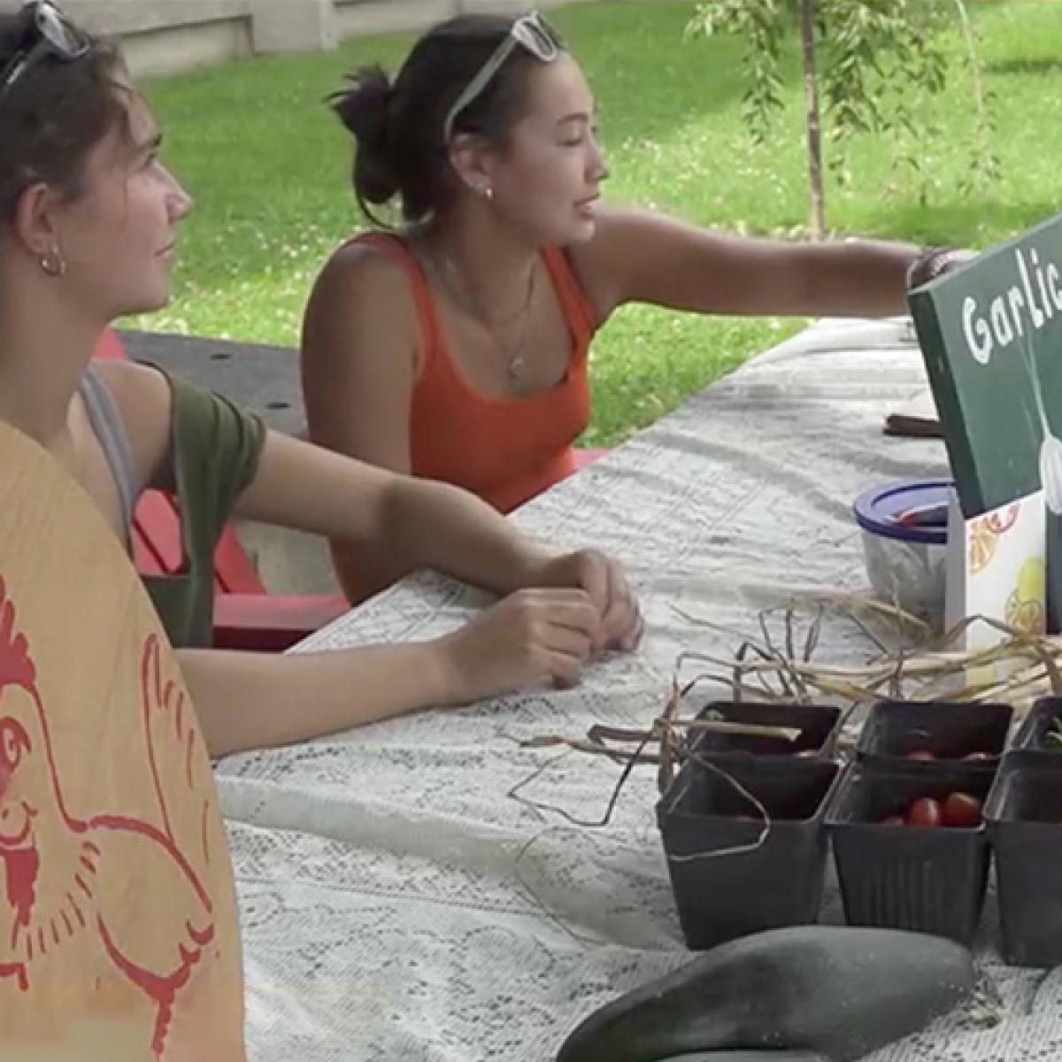 Two students engaging in a conversation at an outdoor farmers market table, which is displaying fresh produce like garlic and zucchini. Two students engaging in a conversation at an outdoor farmers market table, which is displaying fresh produce like garlic and zucchini.