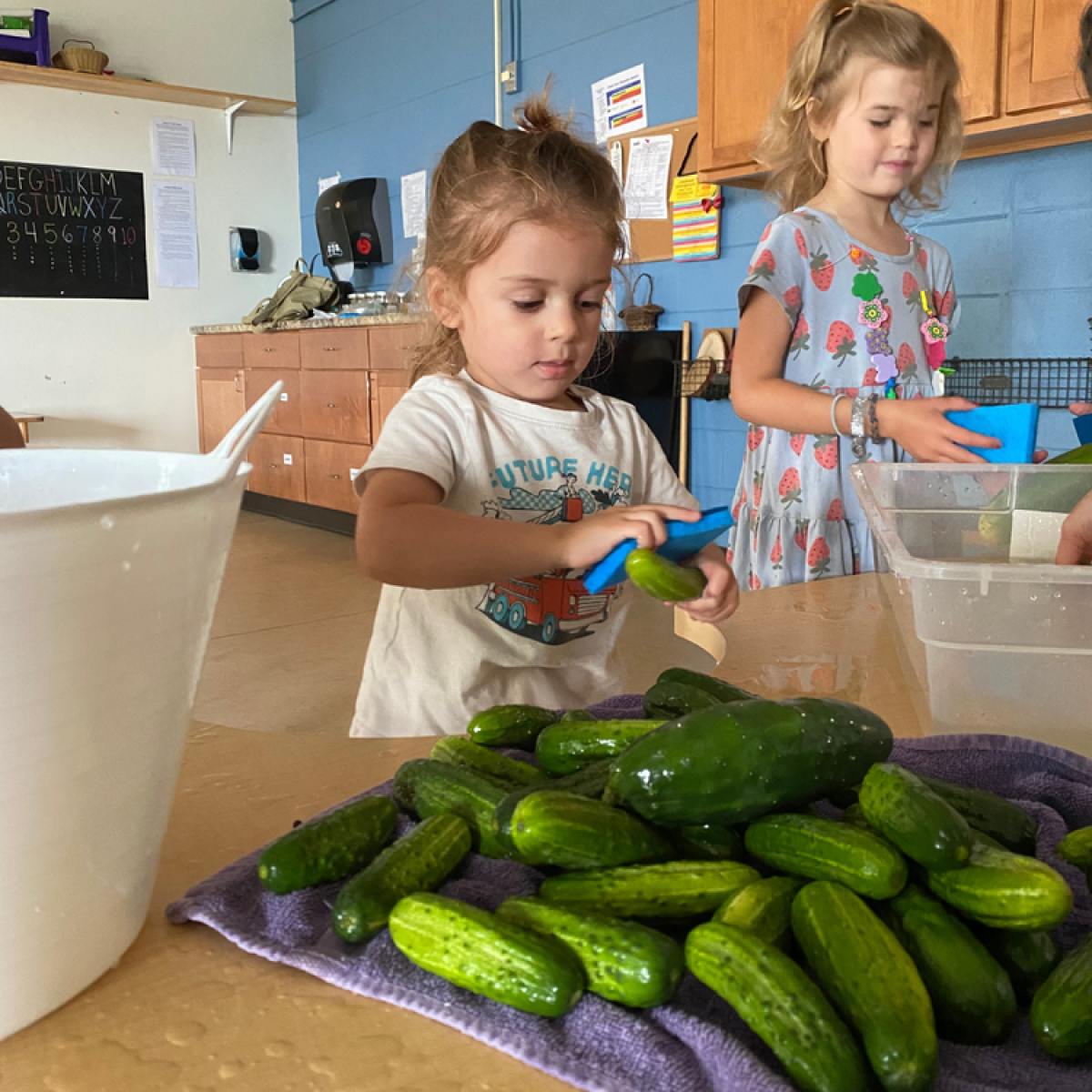 Two children scrub cucumbers at a table, using sponges and bowls of water. Two children scrub cucumbers at a table, using sponges and bowls of water.