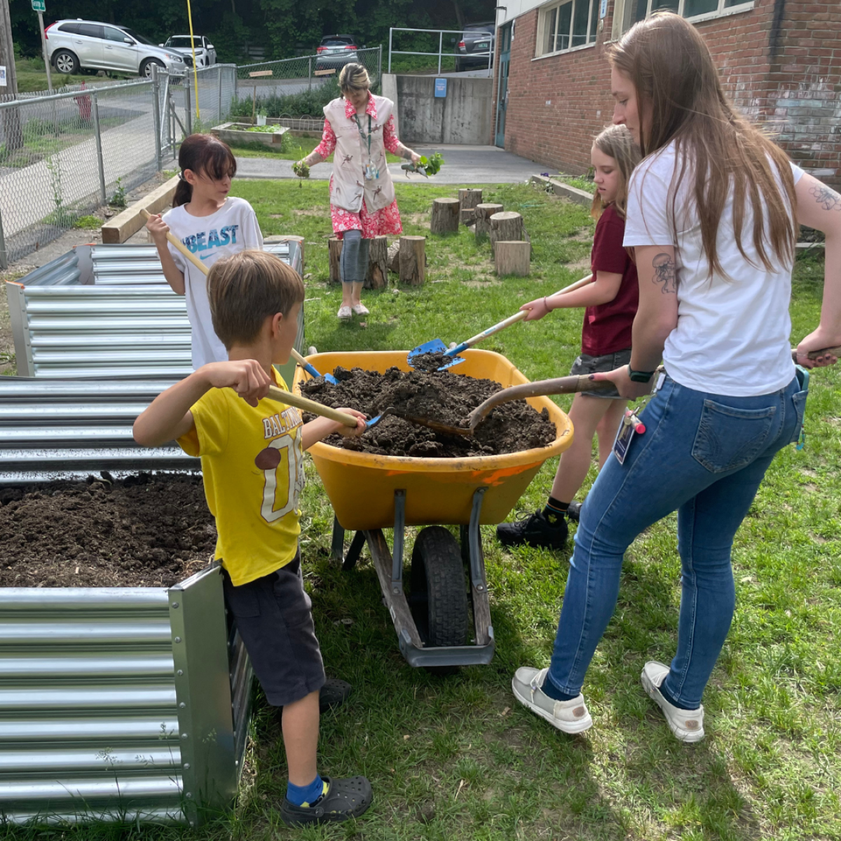 Children and adults working together to fill raised garden beds with soil using wheelbarrows and shovels in a community garden setting. Children and adults working together to fill raised garden beds with soil using wheelbarrows and shovels in a community garden setting.