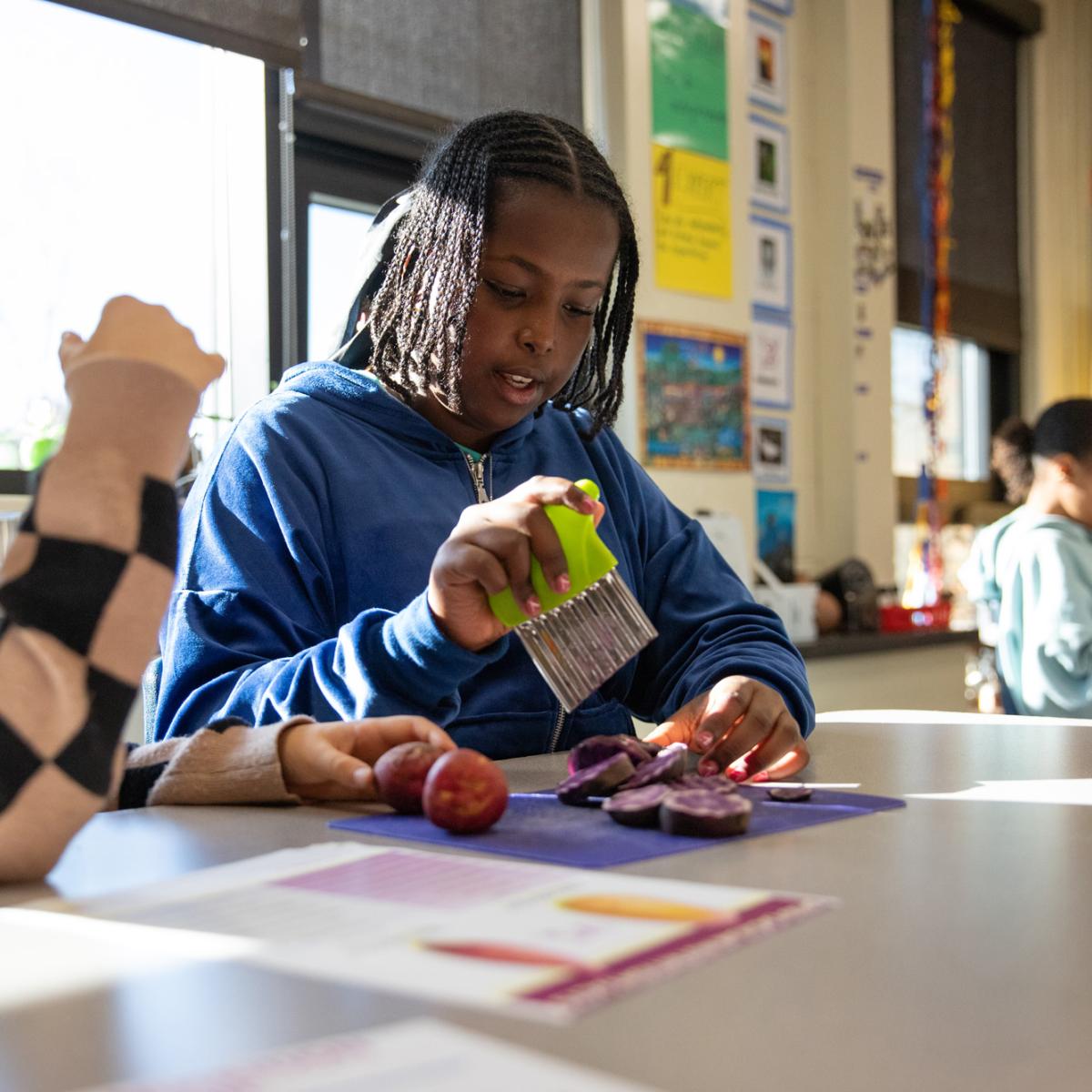 Two students at a desk in a classroom, working on a cooking project with potatoes. Two students at a desk in a classroom, working on a cooking project with potatoes.