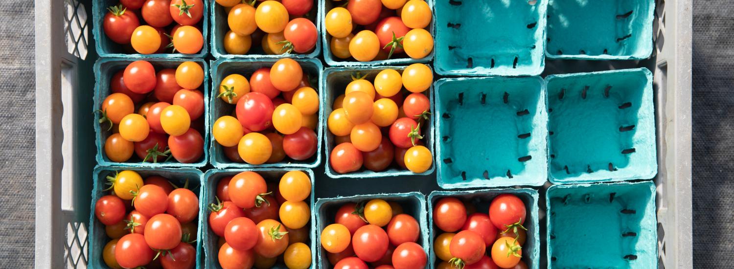 Cherry tomatoes arranged in containers.